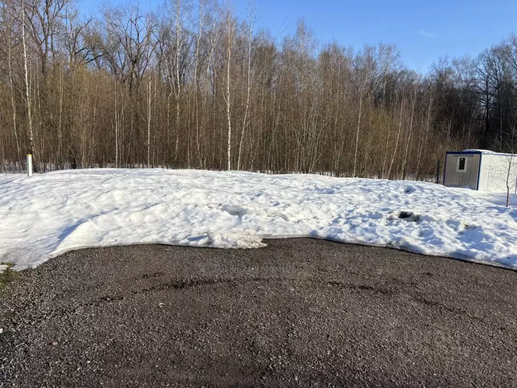 Участок в Московская область, Раменский муниципальный округ, Березовый ... - Фото 2