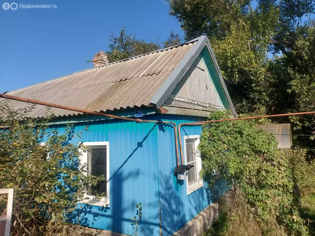 Дом в станица Расшеватская, улица Фрунзе (46 м) - Фото 1