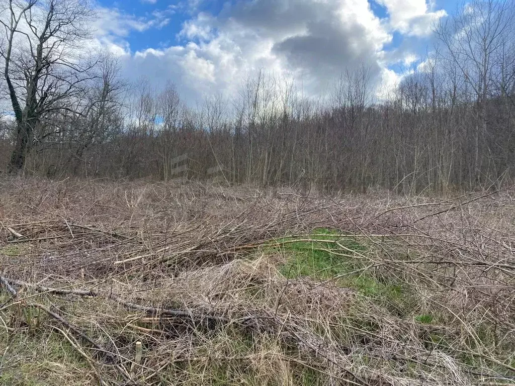 Участок в Краснодарский край, Геленджик городской округ, с. Адербиевка ... - Фото 1