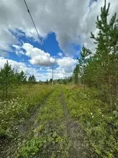 Участок в Тюменская область, Нижнетавдинский муниципальный округ, с. ... - Фото 1