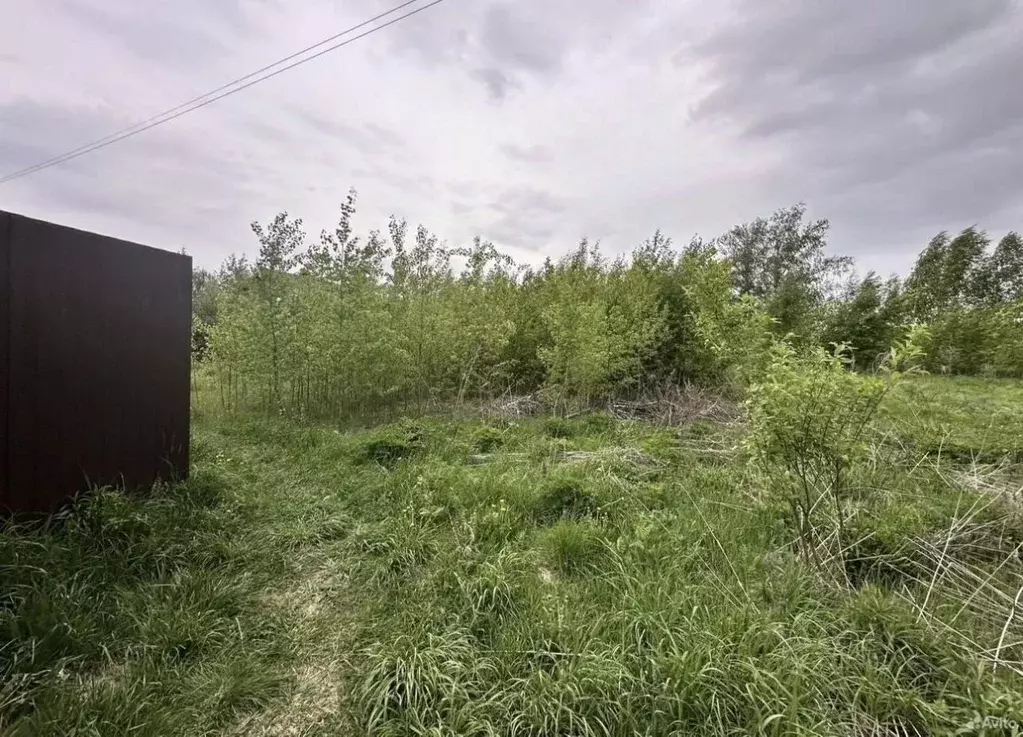 Участок в Нижегородская область, Бор ул. Янтарная (9.0 сот.) - Фото 1