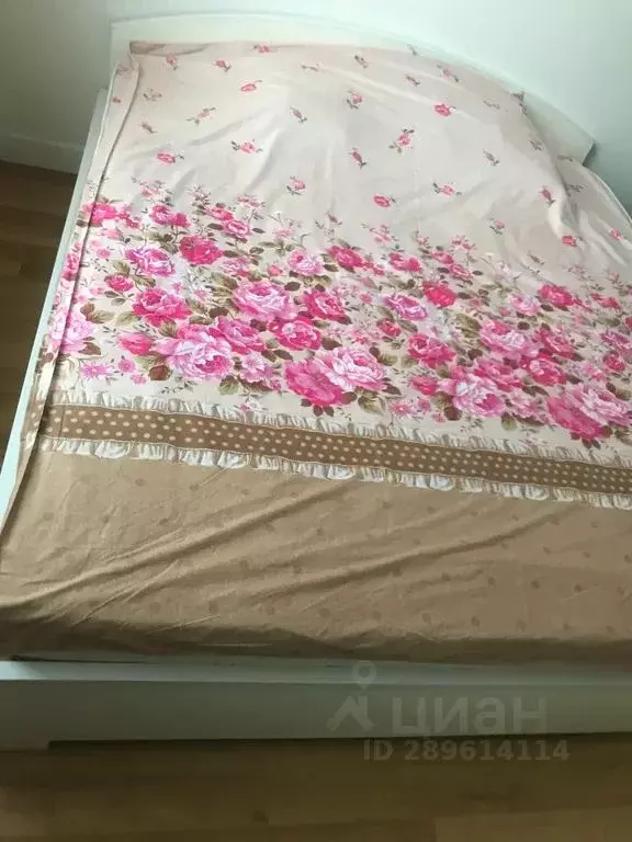 Студия Краснодарский край, Сочи Светлана мкр, ул. Лысая Гора, 27/11 ... - Фото 2