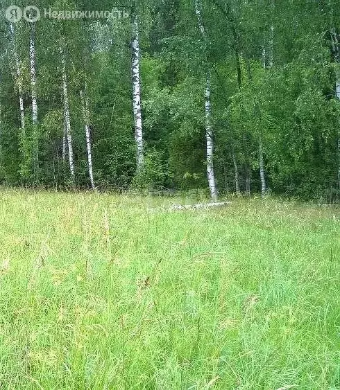 Участок в Московская область, Талдомский городской округ, деревня ... - Фото 1