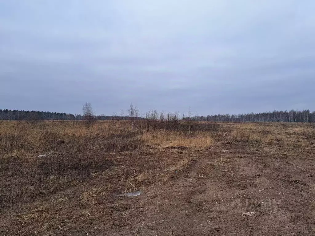 Участок в Московская область, Кашира Ожерелье мкр,  (12.02 сот.) - Фото 0