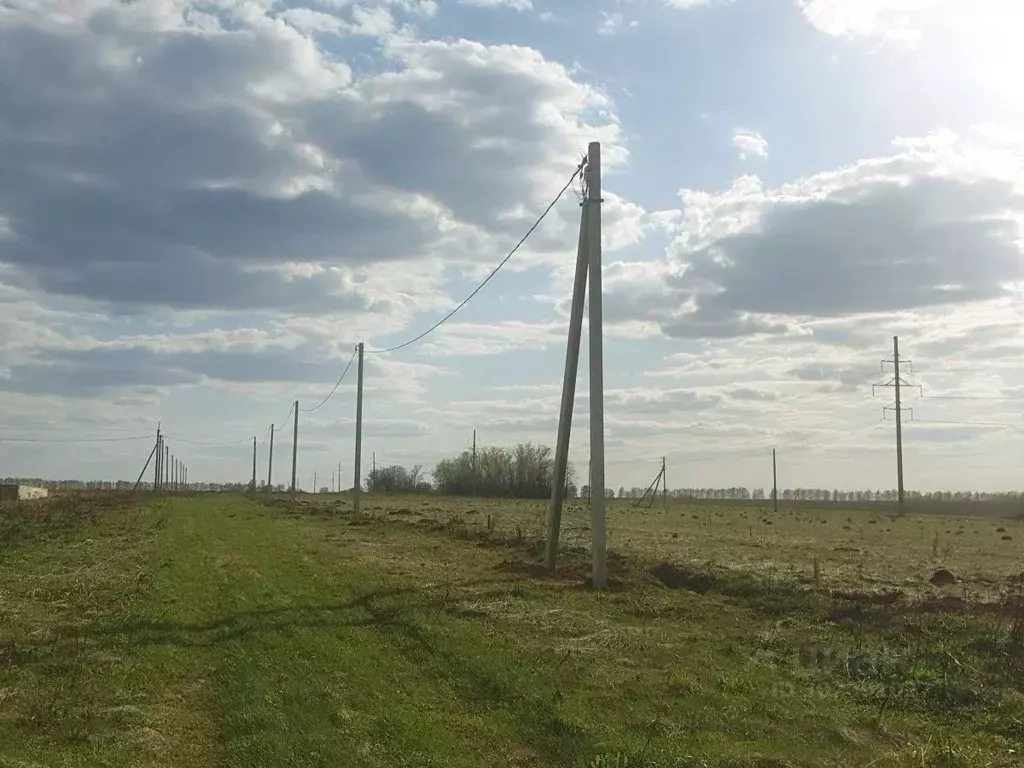 Участок в Нижегородская область, Богородский муниципальный округ, с. ... - Фото 0