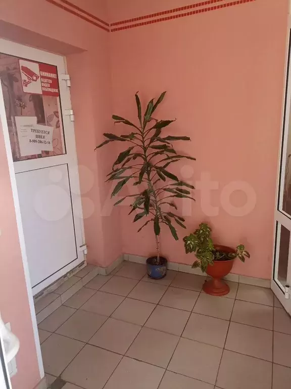 Офис - Фото 1