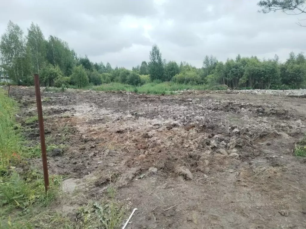 Участок в Тюменская область, Нижнетавдинский муниципальный округ, ... - Фото 2