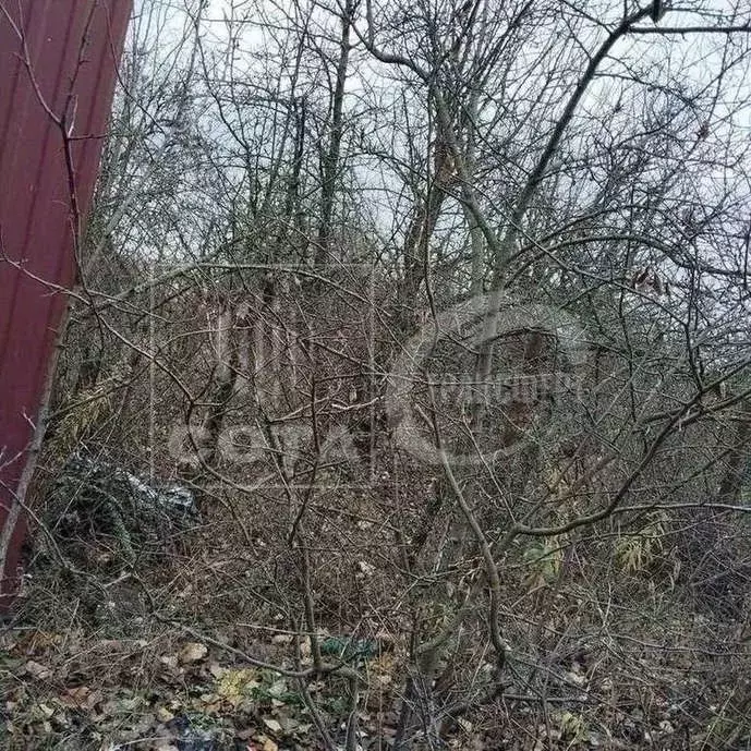 Участок в Воронежская область, Воронеж Отдых СНТ, 1320 (5.2 сот.) - Фото 1