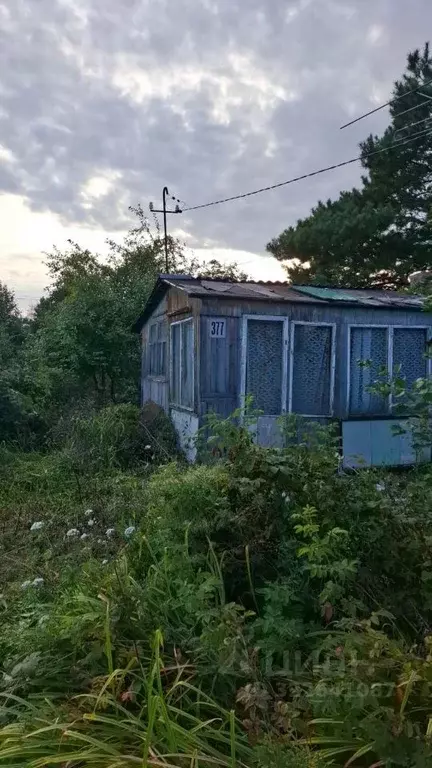 Участок в Омская область, Таврический район, Озерное СНТ аллея 10-я ... - Фото 0