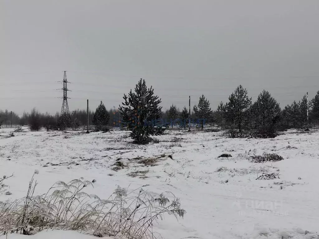 Участок в Нижегородская область, с. Безводное ул. Светлая (10.0 сот.) - Фото 2