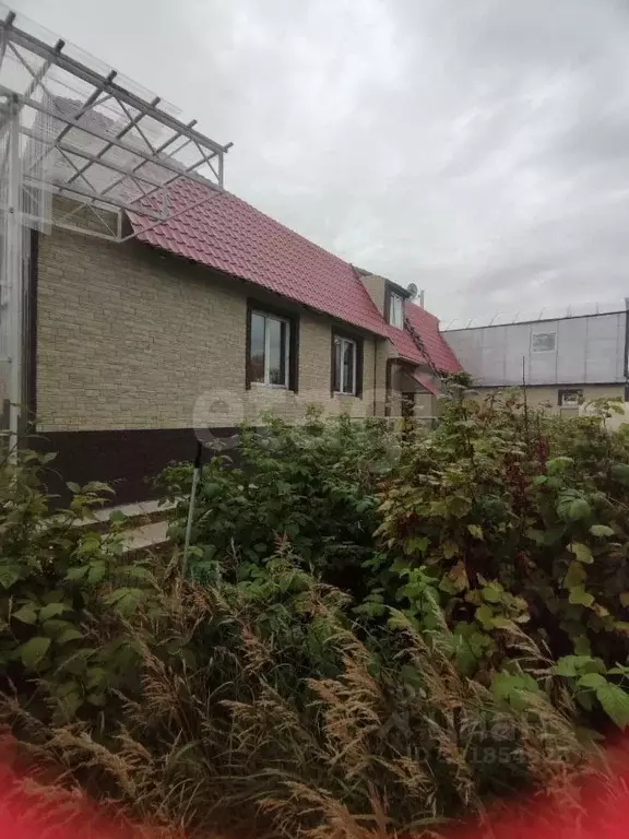 Дом в Ямало-Ненецкий АО, Новый Уренгой Ромашка ДНТ, ул. ... - Фото 1