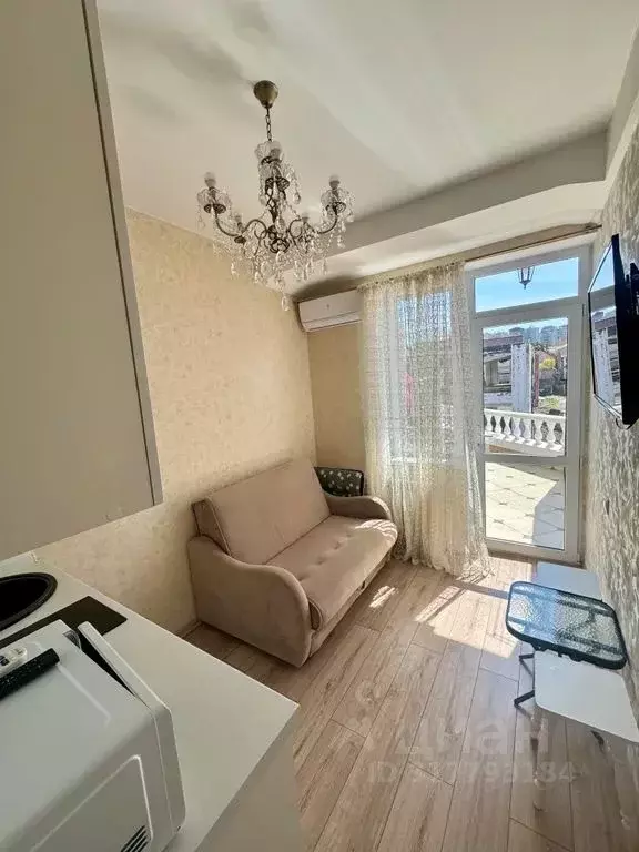 Студия Краснодарский край, Сочи Виноградная ул., 89/2 (26.0 м) - Фото 1