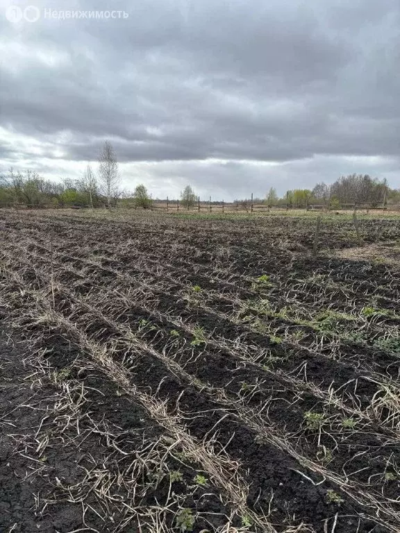 Участок в деревня Зеледеево, Центральная улица, 9 (70 м) - Фото 2