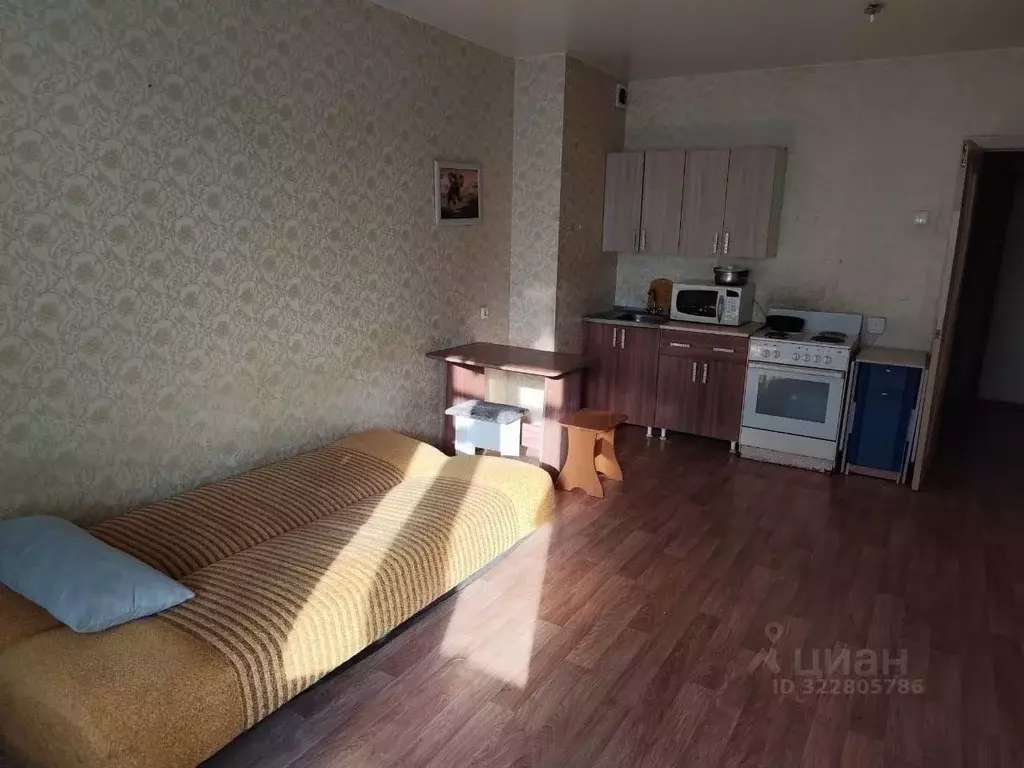 Студия Красноярский край, Красноярск ул. Петра Подзолкова, 3Б (33.4 м) - Фото 0