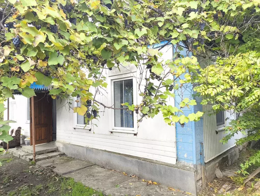 Дом в Краснодарский край, Кавказская ст-ца пер. Садовый (61 м) - Фото 1