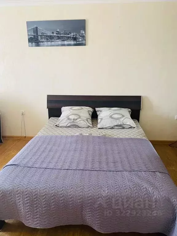 1-к кв. Адыгея, Майкоп ул. Чкалова, 65 (47.0 м) - Фото 2