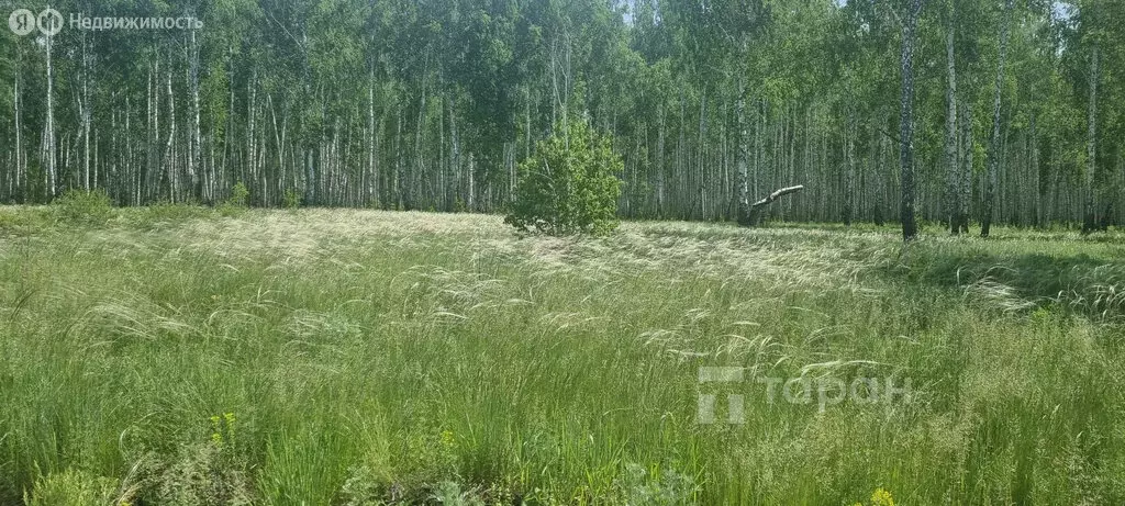 Участок в Кременкульское сельское поселение, деревня Осиновка (9 м) - Фото 0