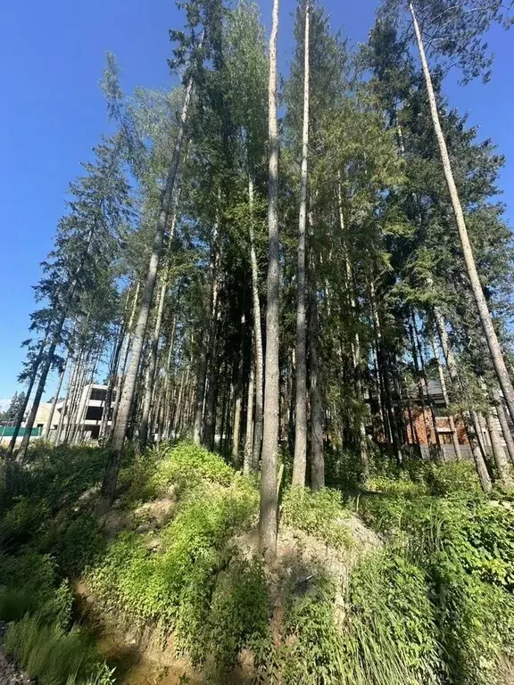 Участок в Московская область, Химки Новогорск Лес ТСН,  (10.0 сот.) - Фото 1