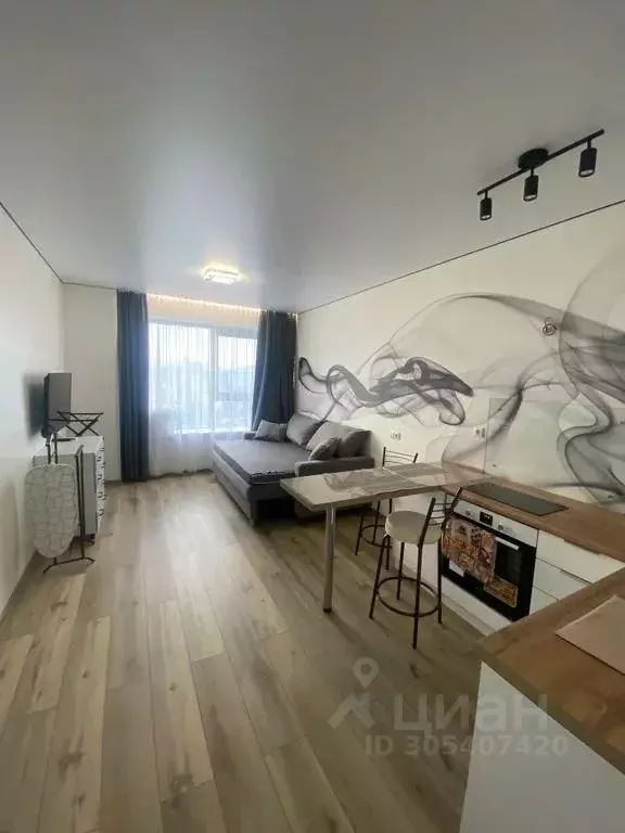 Студия Приморский край, Владивосток Стрелковая ул., 18к1 (26.0 м) - Фото 1