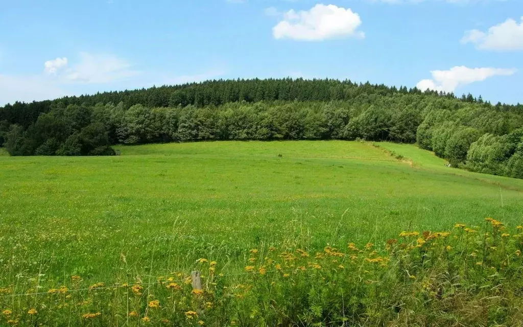 Участок в Калининградская область, Мамоновский городской округ, пос. ... - Фото 1
