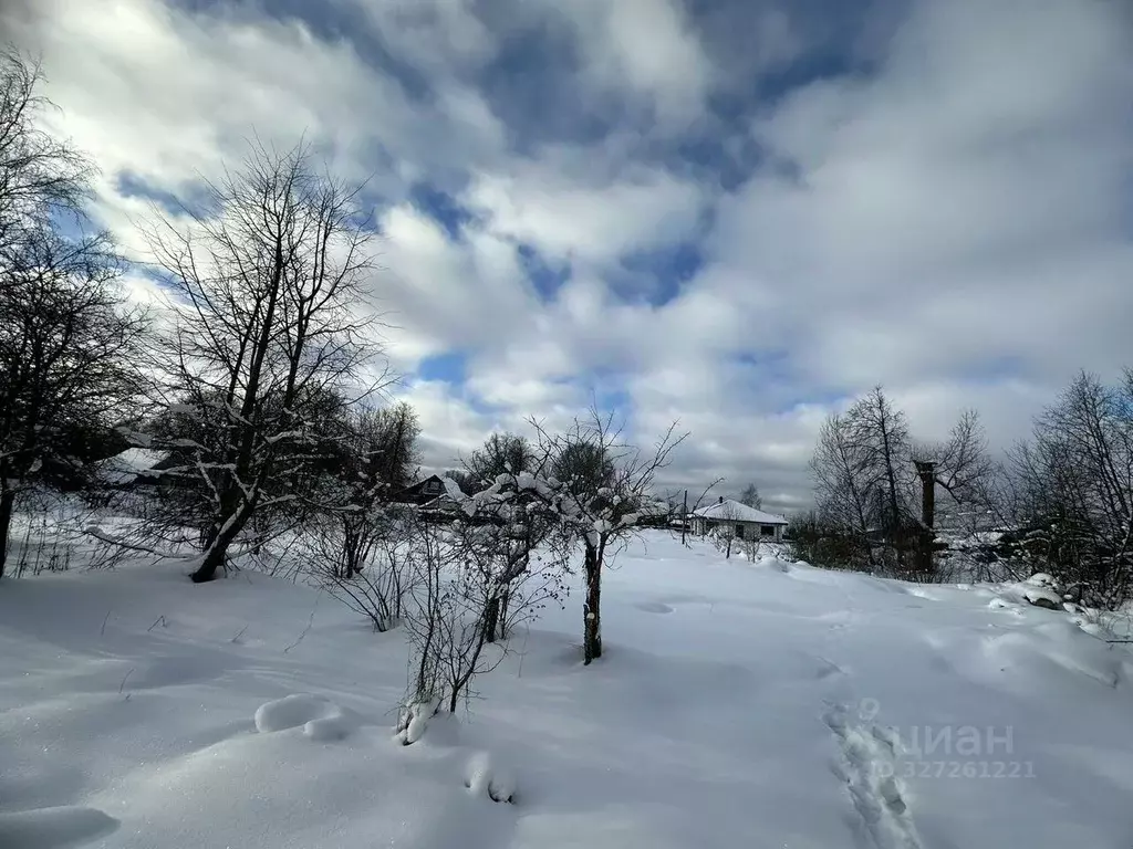 Участок в Ленинградская область, Любань Тосненский район,  (10.0 сот.) - Фото 1