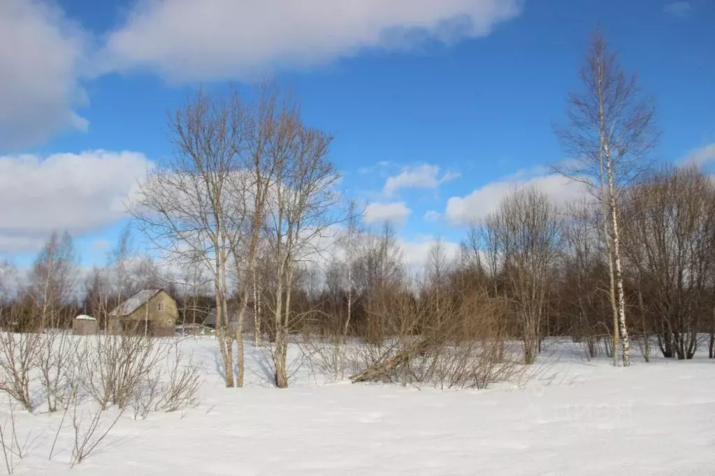 Участок в Московская область, Шаховская муниципальный округ, д. ... - Фото 1