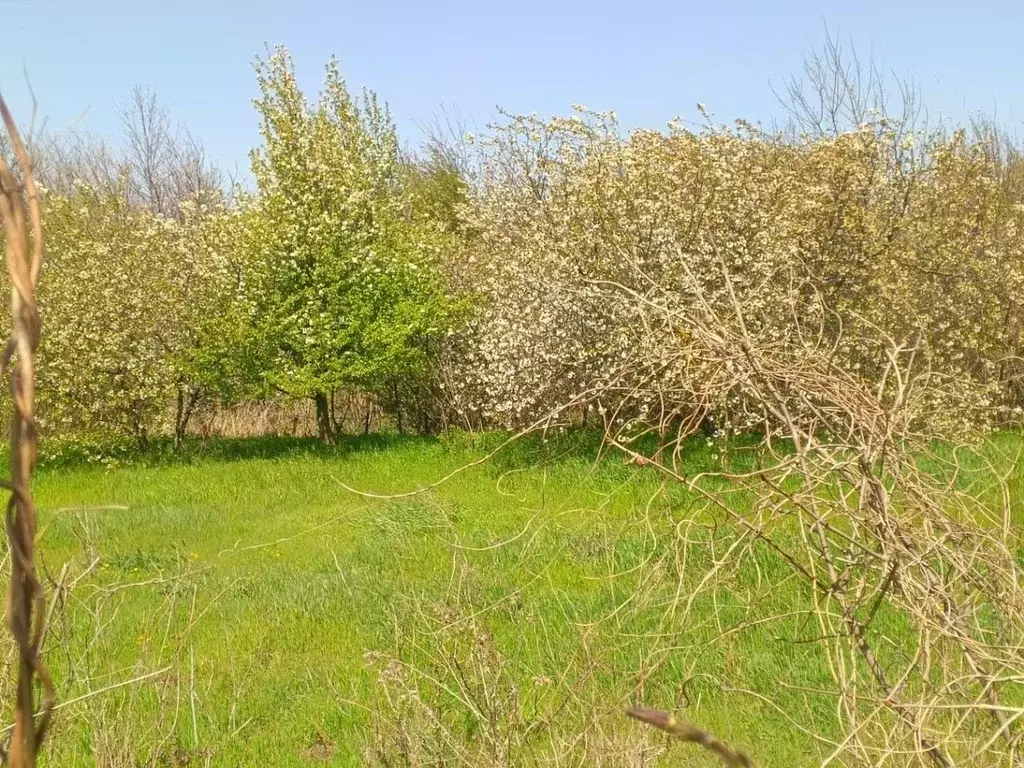 Участок в Краснодарский край, Анапа муниципальный округ, Веселая Гора ... - Фото 1