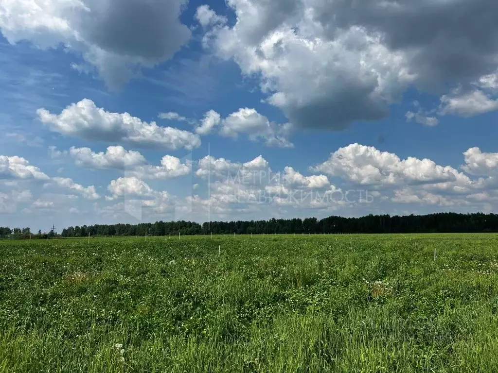 Участок в Тюменская область, Тюменский район, д. Малиновка  (6.0 сот.) - Фото 0