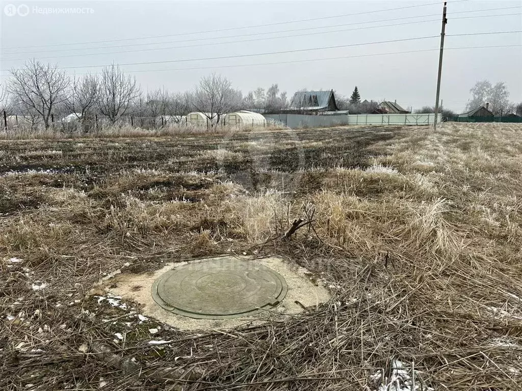 Участок в Рыбновский район, Кузьминское сельское поселение, село ... - Фото 0