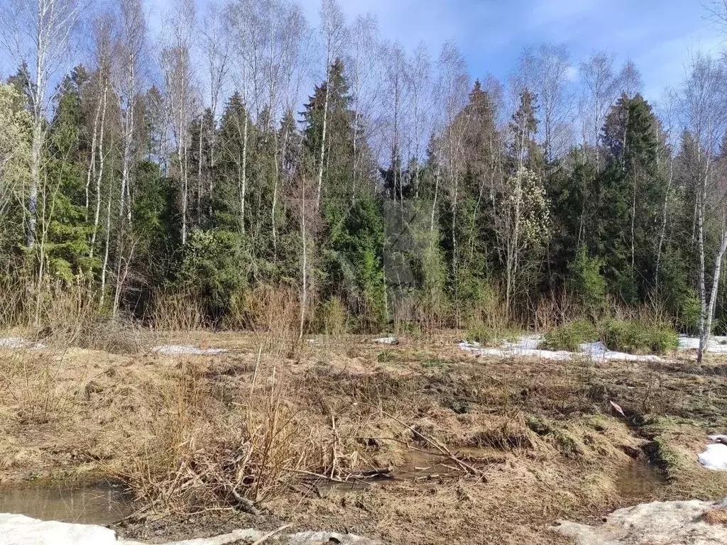 Участок в Московская область, Одинцовский городской округ, Боярово кп  ... - Фото 2
