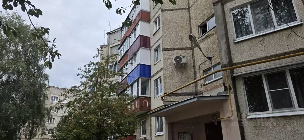 3-к кв. Липецкая область, Елец ул. Коммунаров, 141 (63.0 м) - Фото 0