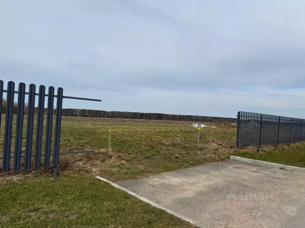 Участок в Ленинградская область, Всеволожский район, Свердловское ... - Фото 2