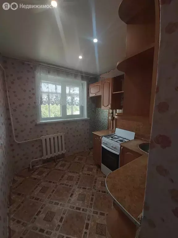 1-комнатная квартира: Курган, посёлок Керамзитный, 10 (29.7 м) - Фото 2