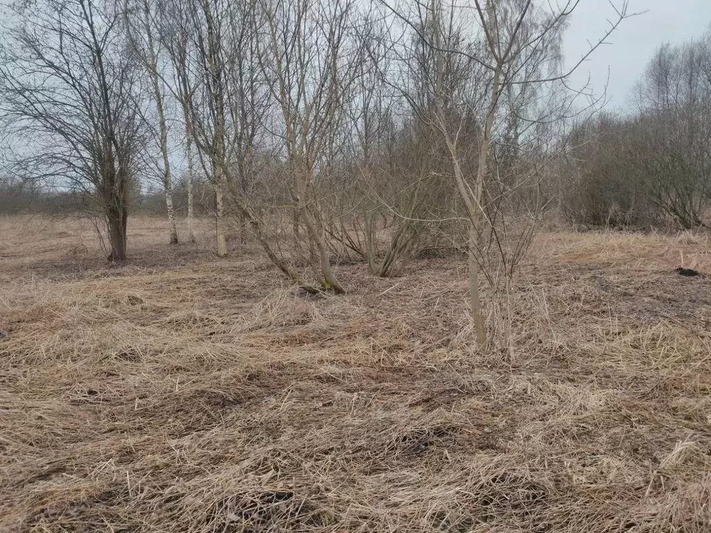 Участок в Московская область, Клин городской округ, Решетниково пгт  ... - Фото 0