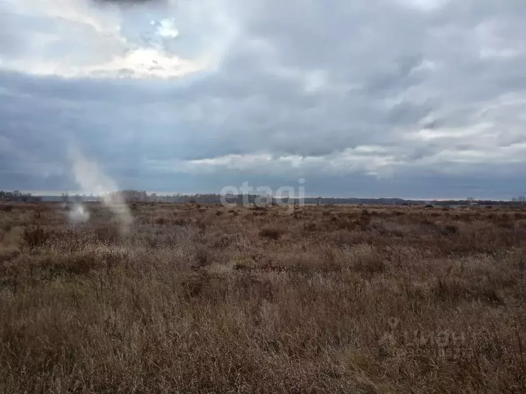 Участок в Омская область, Омский район, с. Усть-Заостровка Заозерная ... - Фото 1