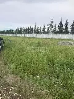 Участок в Новосибирская область, Искитимский район, Мичуринский ... - Фото 0