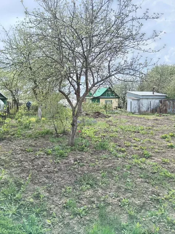 Участок 4 сот. (СНТ, ДНП) - Фото 1