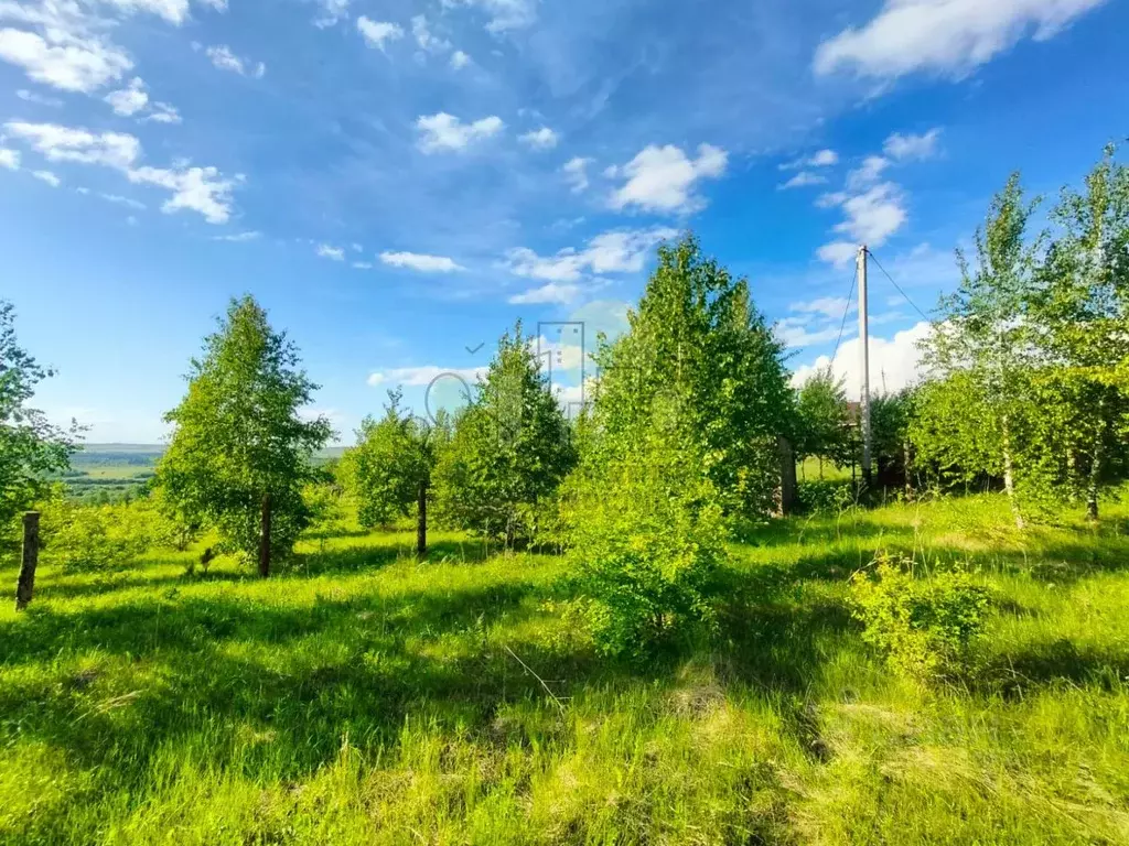 Участок в Иркутская область, Иркутский муниципальный округ, д. ... - Фото 2