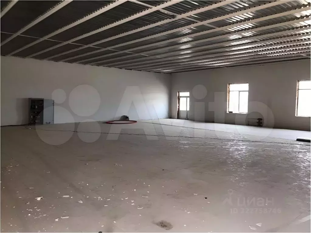 Помещение свободного назначения в Краснодарский край, Ейск Киевская ... - Фото 0