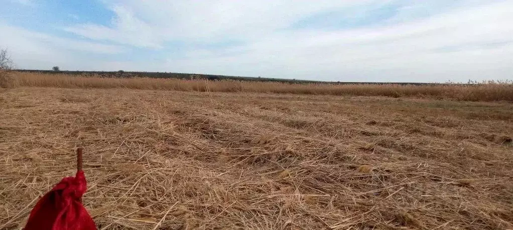 Участок в Краснодарский край, Анапа муниципальный округ, пос. ... - Фото 1