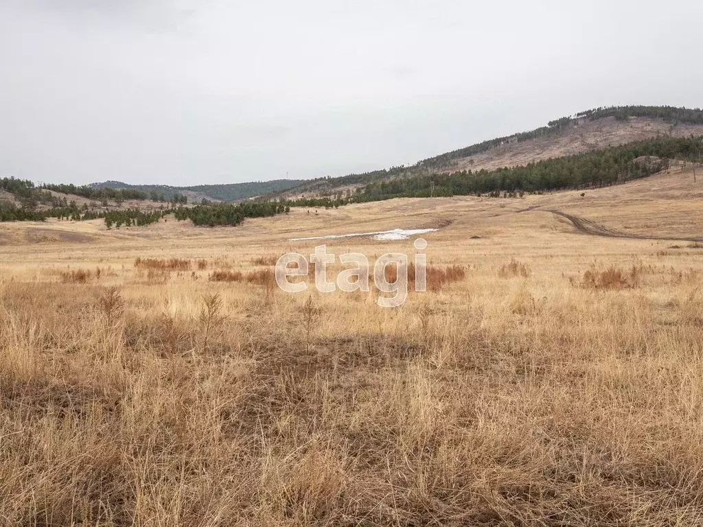 Участок в Бурятия, Иволгинский район, Иволгинское с/пос, Ошор-Булаг ... - Фото 1
