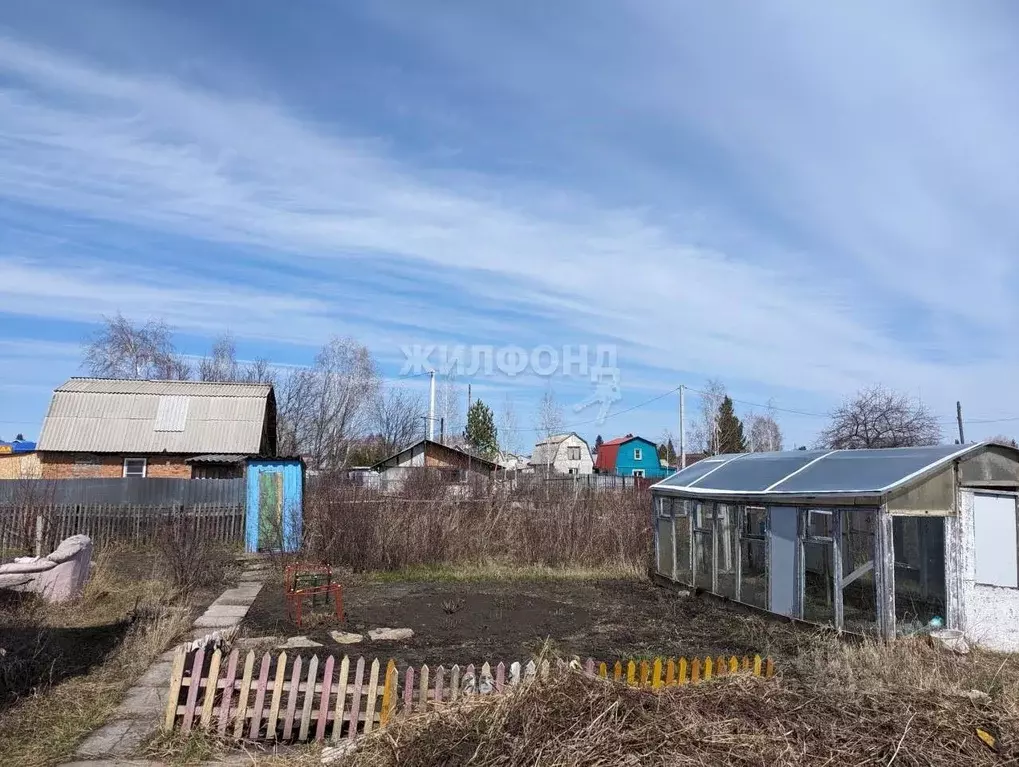 Участок в Новосибирская область, Новосибирский район, Толмачевский ... - Фото 1