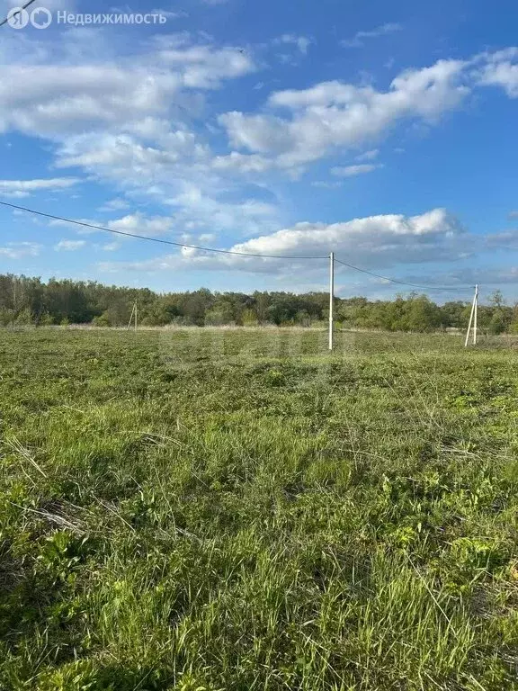Участок в Тульская область, городской округ Тула, деревня Медвенка ... - Фото 1