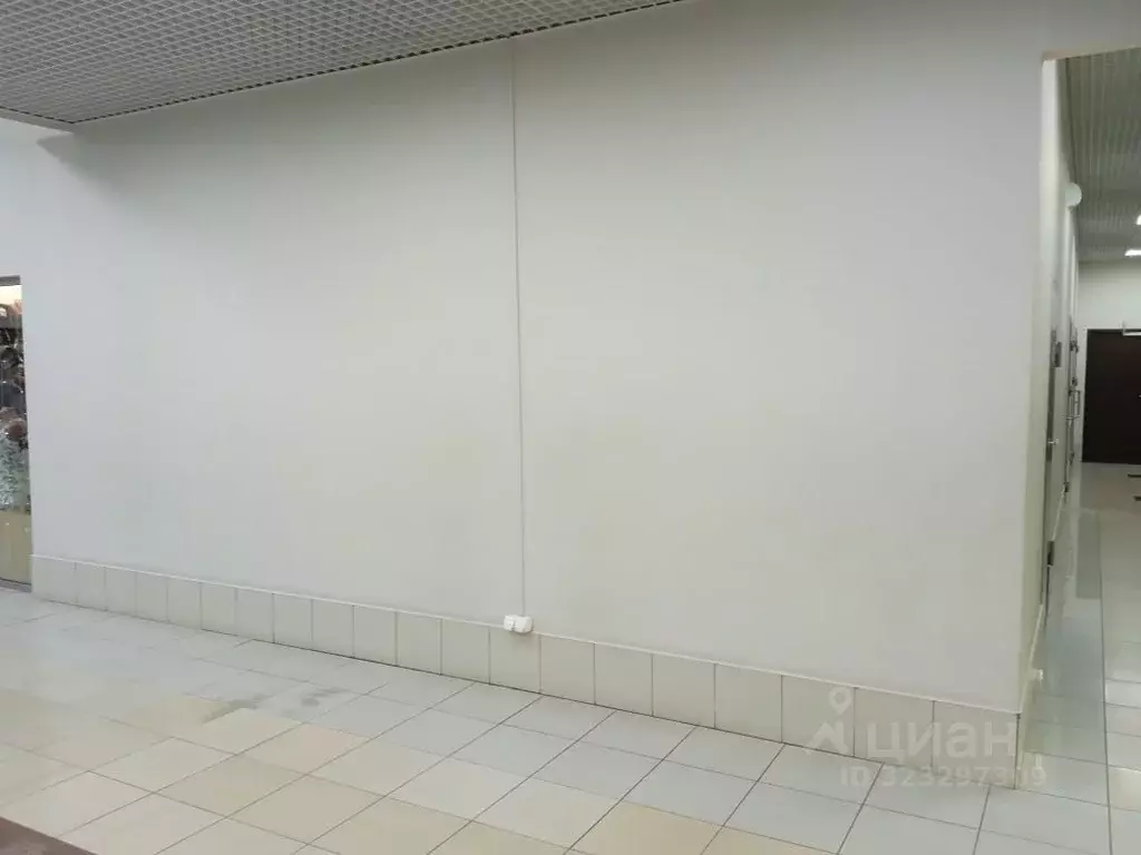 Торговая площадь в Челябинская область, Челябинск Салютная ул., 27 (6 ... - Фото 2