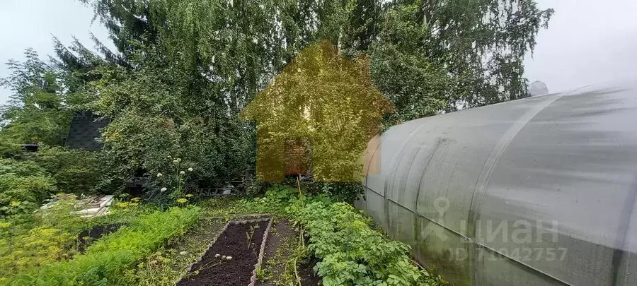 Купить Дачу В Снт Конструктор Новосибирск