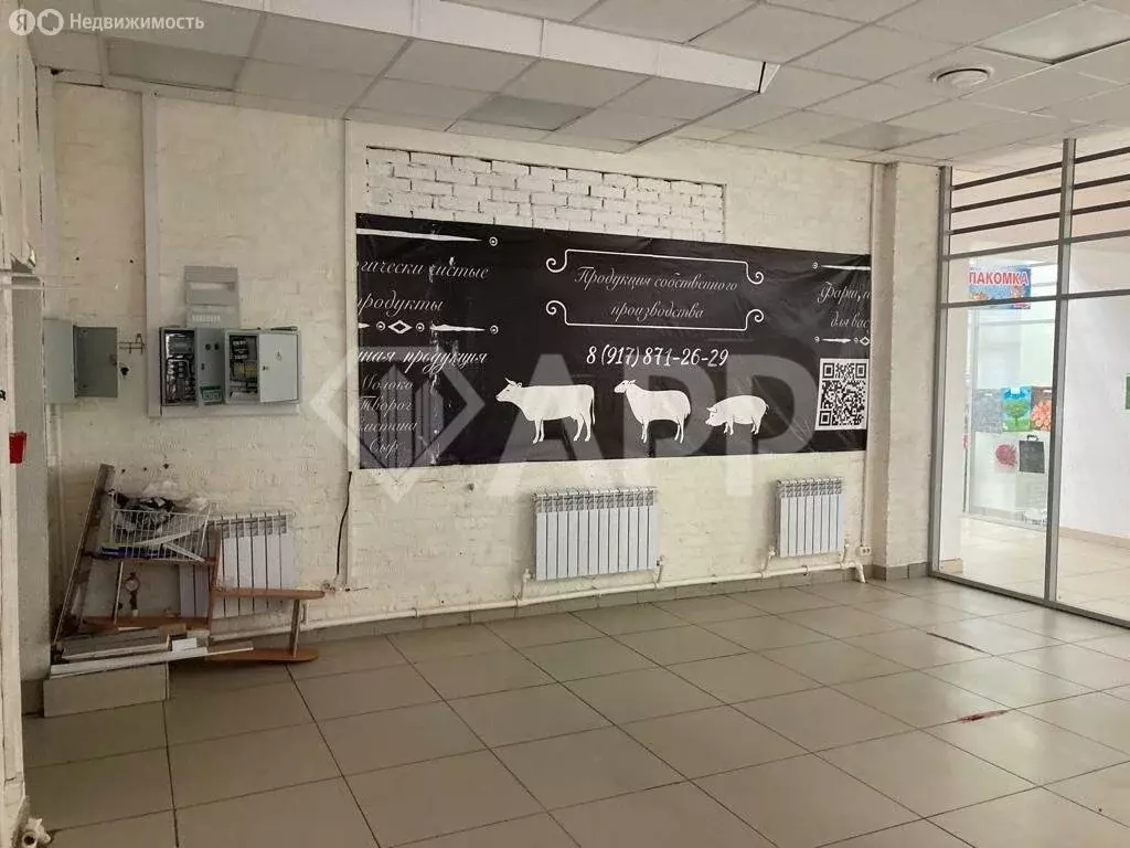 Помещение свободного назначения (36 м) - Фото 0