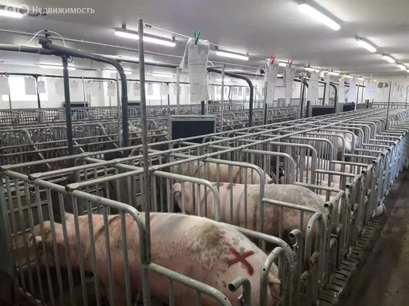 Производственное помещение (11468 м) - Фото 2