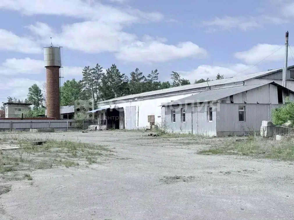 Помещение свободного назначения в Амурская область, Белогорск ул. ... - Фото 1