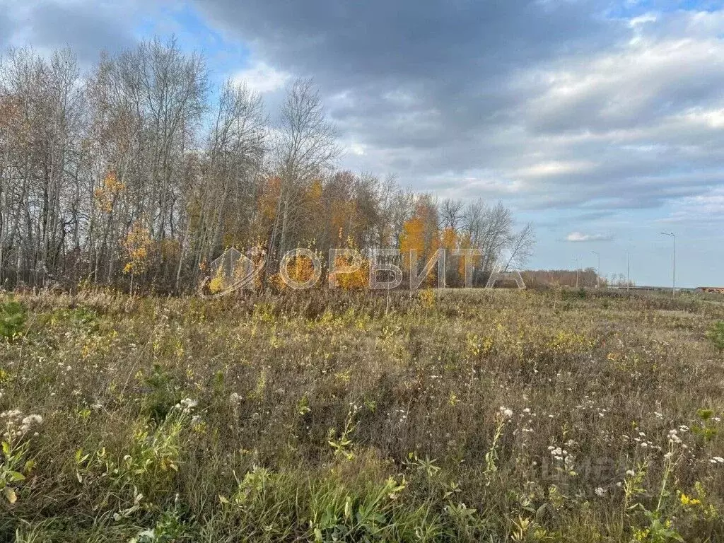 Участок в Тюменская область, Тюменский район, Новокаменский кп  (6.08 ... - Фото 0