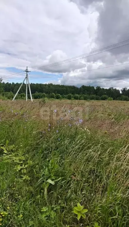 Участок в Владимирская область, Покров Строитель-3Б садовое ... - Фото 1